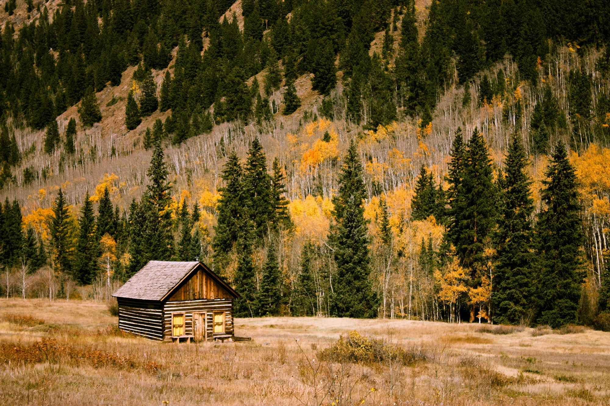 Photo of Telluride, CO